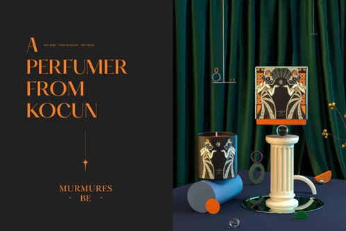 简约大气的产品包装设计创意