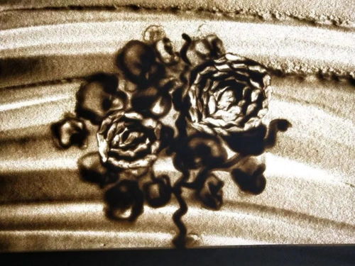 我和沙画的那些故事